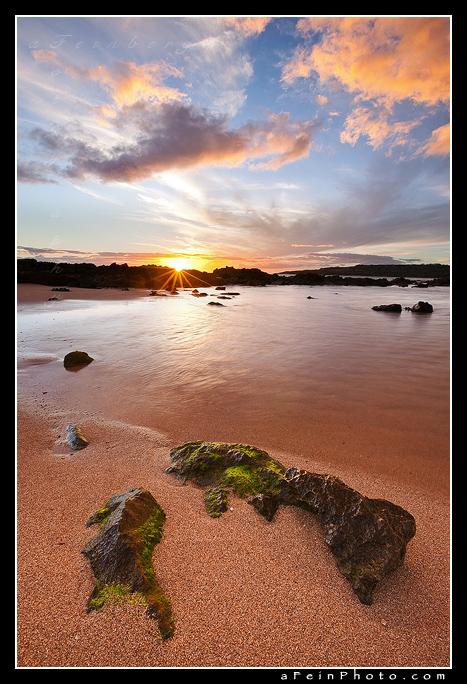 Salt Pond I