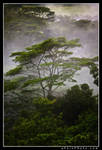 Mists Of Lemuria-Technicolor by aFeinPhoto-com