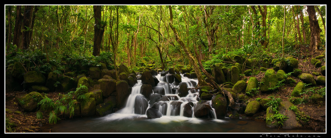 Throne Of Falls II