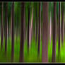 Forest Abstract series