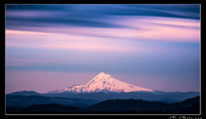 Purple Mountain Majesty