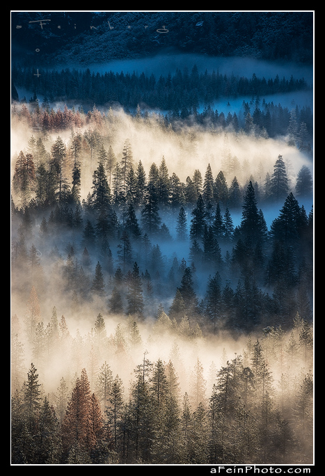 Yosemite Valley Fog I