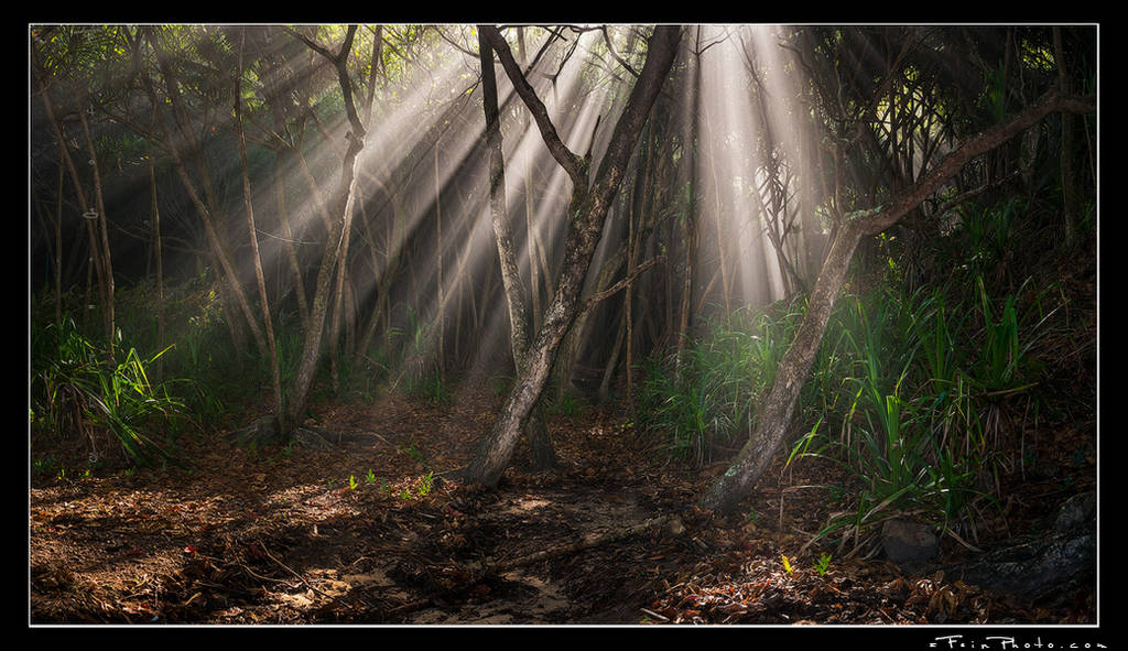 Holy Hala by aFeinPhoto-com