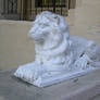 Lion Statue Stock
