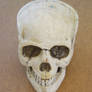Skull 4