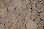 Mosaic of Circular Tiles