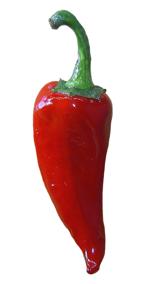 Red Pepper Stock by chamberstock
