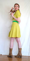 Lime Dress Stock 1