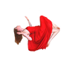 Falling or Flying Stock Cutout