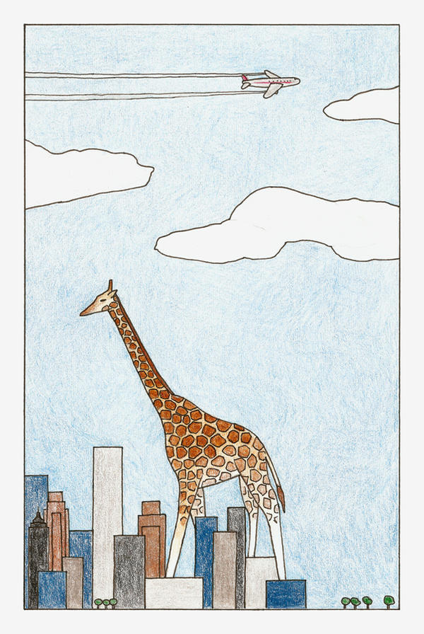 Giraffes are very tall...