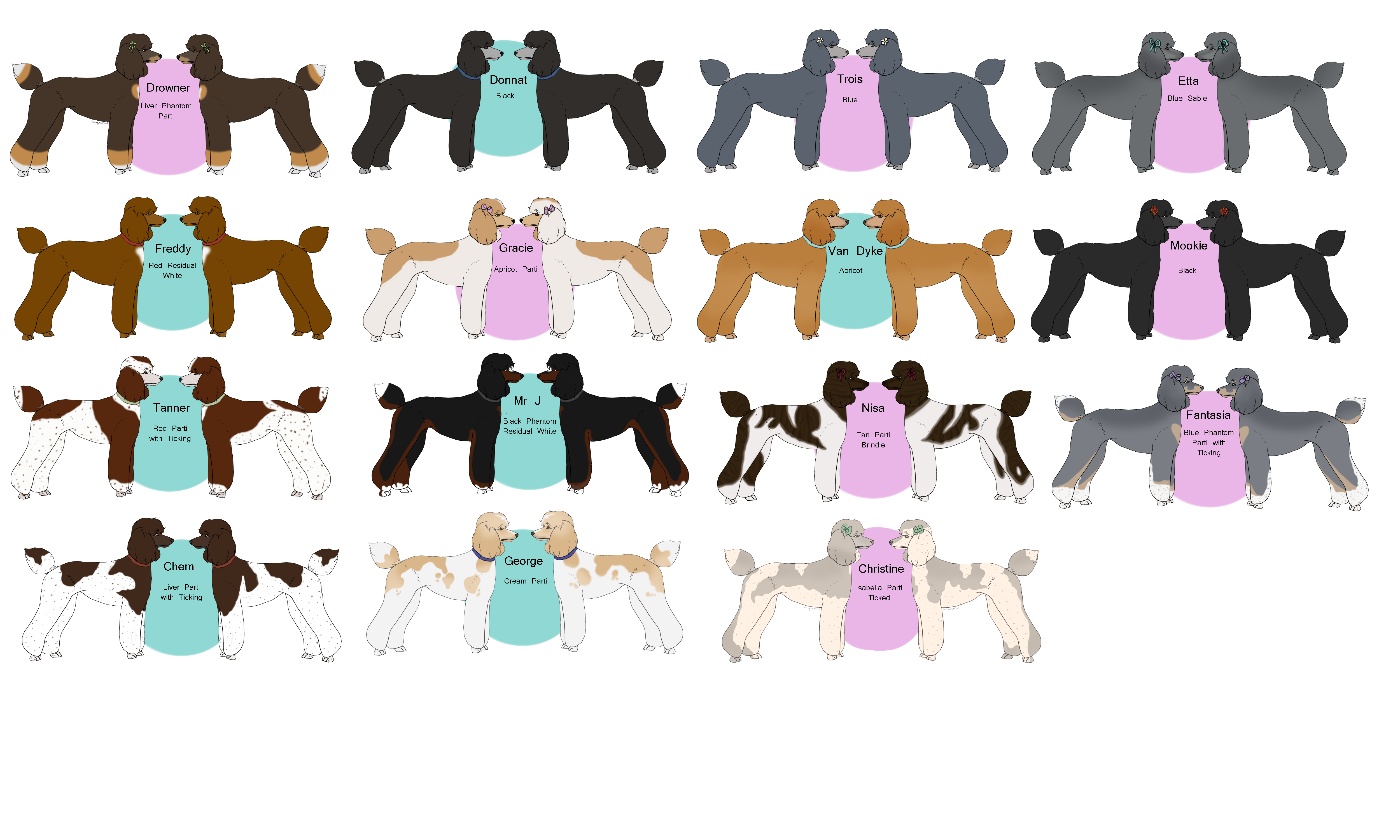 Poodle Color Chart by TsonianFieldsRanch on DeviantArt