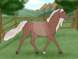 TFR Shared Hallucination - Stallion