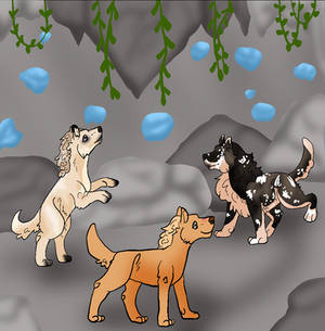 I'm Getting Up There