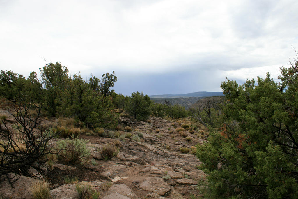 desert scrub 02. by greenleaf-stock