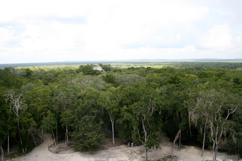 jungle view 01. by greenleaf-stock