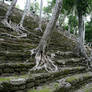 ruins 39.