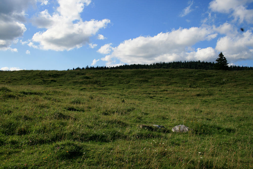 alpine meadow 09. by greenleaf-stock