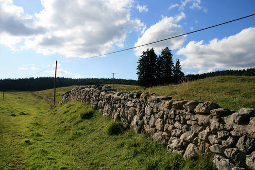stone fence 01.