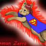 Superman Zerro