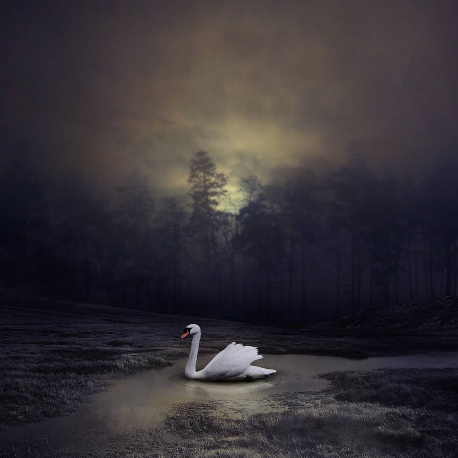 The swan and the moonlight by Neighya
