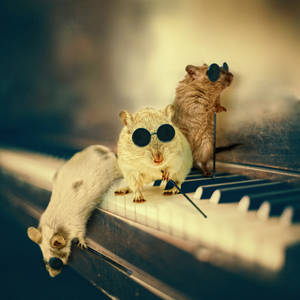 Three blind mice by Neighya Three blind mice by Neighya