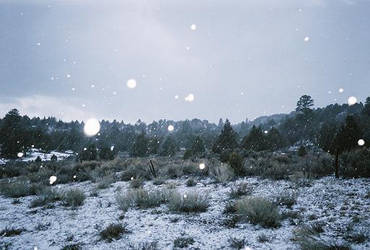 Dusting of the Desert