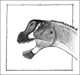 Camarasaurus lentus by Paleoartists