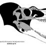 Appalachiosaurus skull