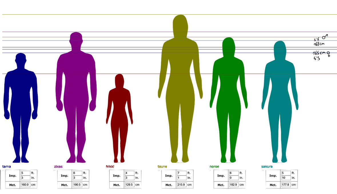 Height Chart by kerenitychan on DeviantArt
