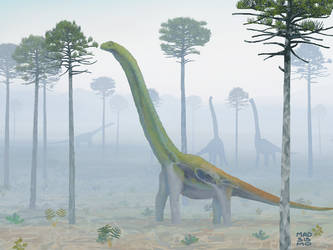 Sauropodos