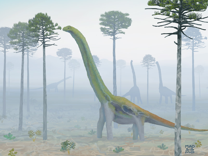 Sauropodos