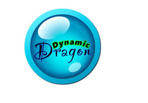 The Dynamic Dragon Logo