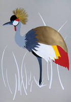 Crested Crane