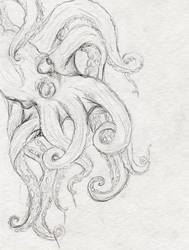 octopus for watercolor