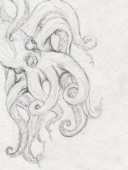 octopus for watercolor