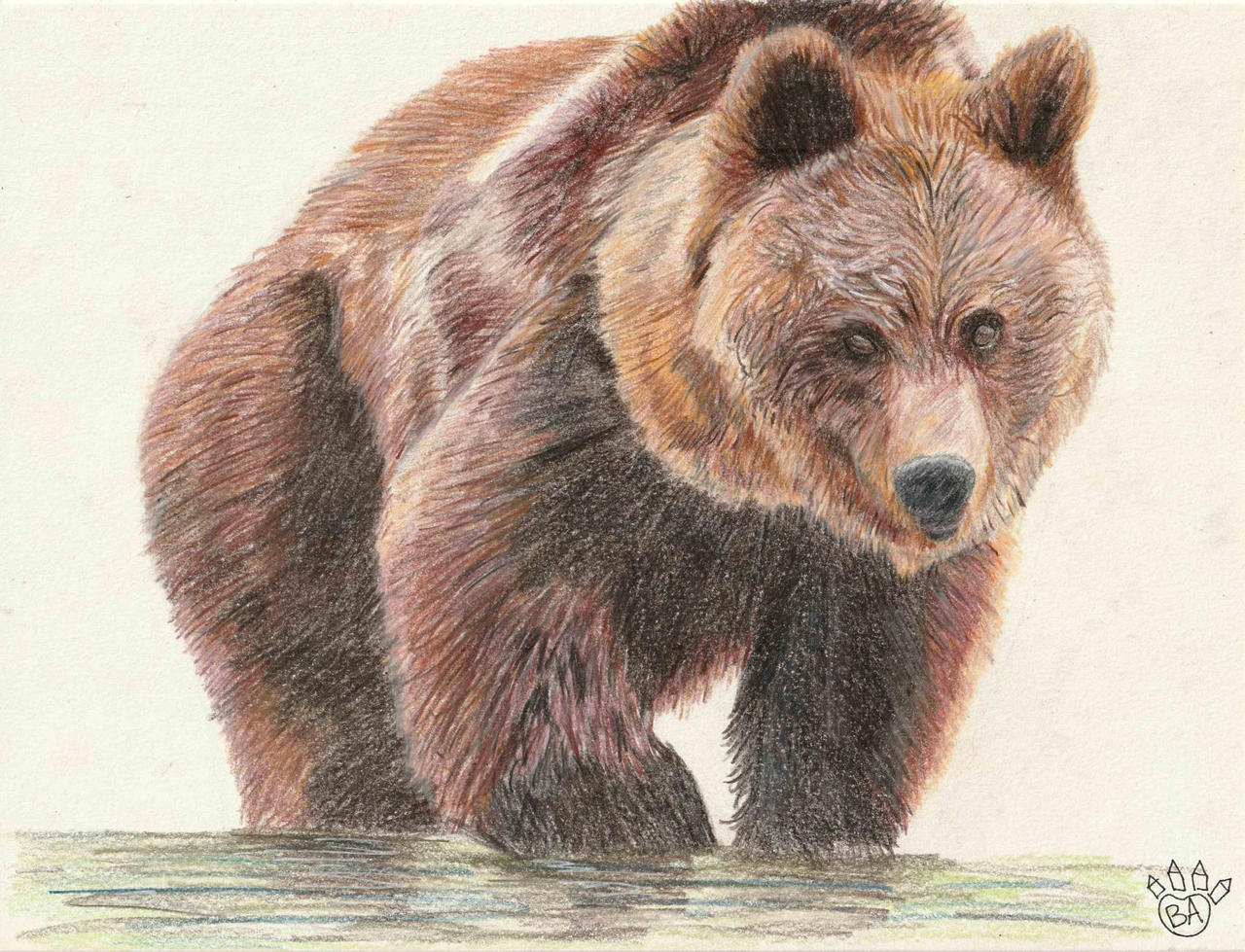 Bear Drawing by Bear-Art-Drawings on DeviantArt