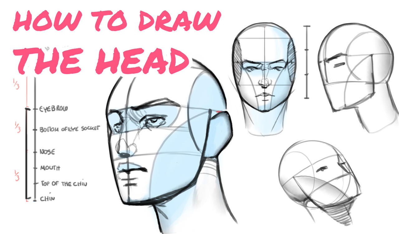 Tutorial How to draw the head from any angle by on DeviantArt