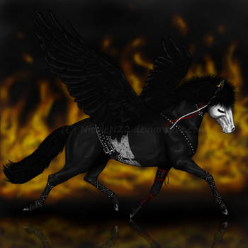 Nikki Sixx Pegasus