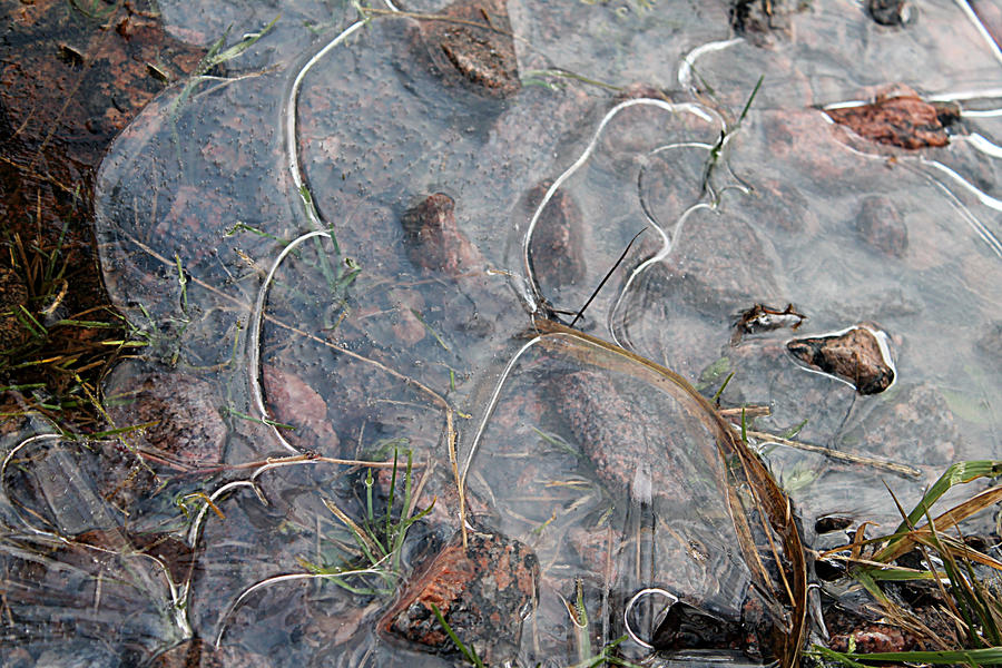 rocks covered with ice