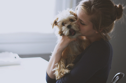 dog kiss passionated like french kiss