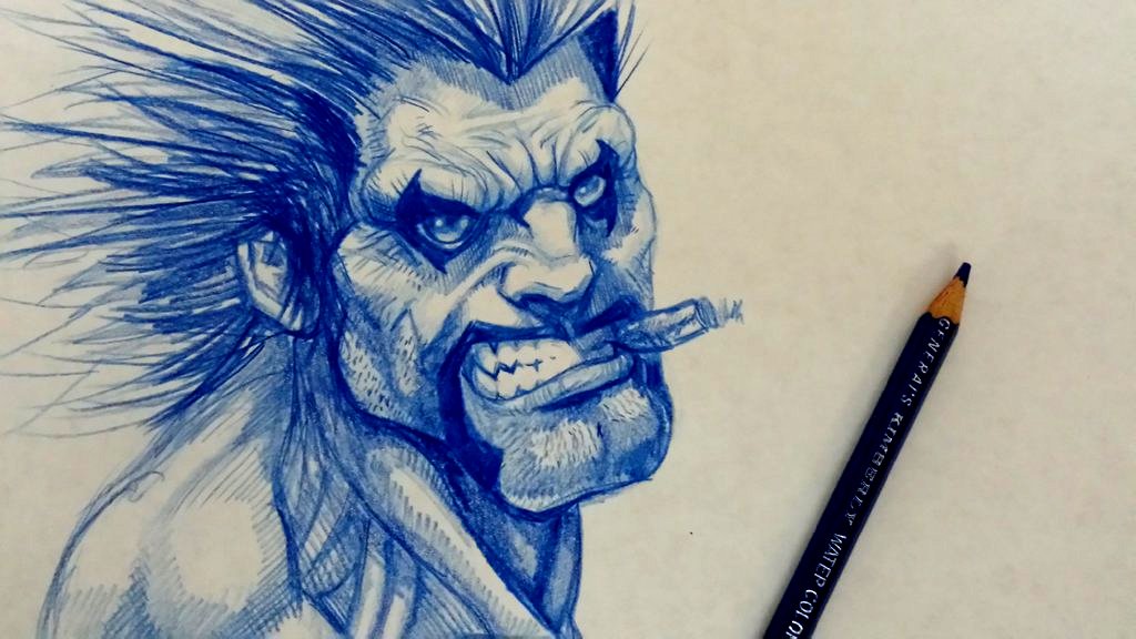 sketch lobo