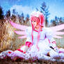 Madoka : Unending Dream