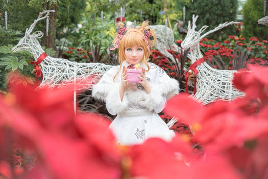 Card Captor Sakura : Merry Christmas !
