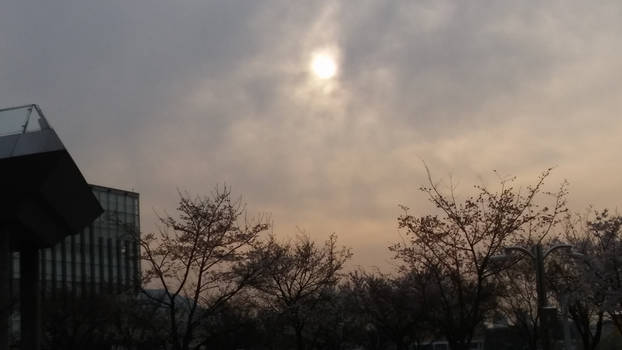 THE SUN IN THE CLOUDS