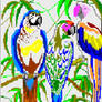 Parrots
