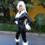 BLACK CAT