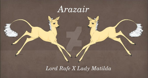 Lord Rafe Lord Rafe x Lady Matilda by Banrigh-Fian on DeviantArt