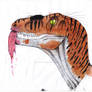 V. nublarensis male eating