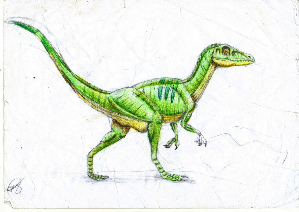 compsognathus