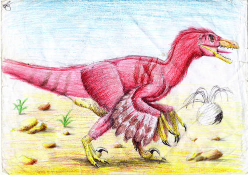 Velociraptor Mongoliaensis